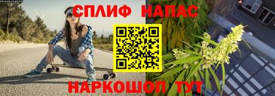 прущие крисы Северобайкальск