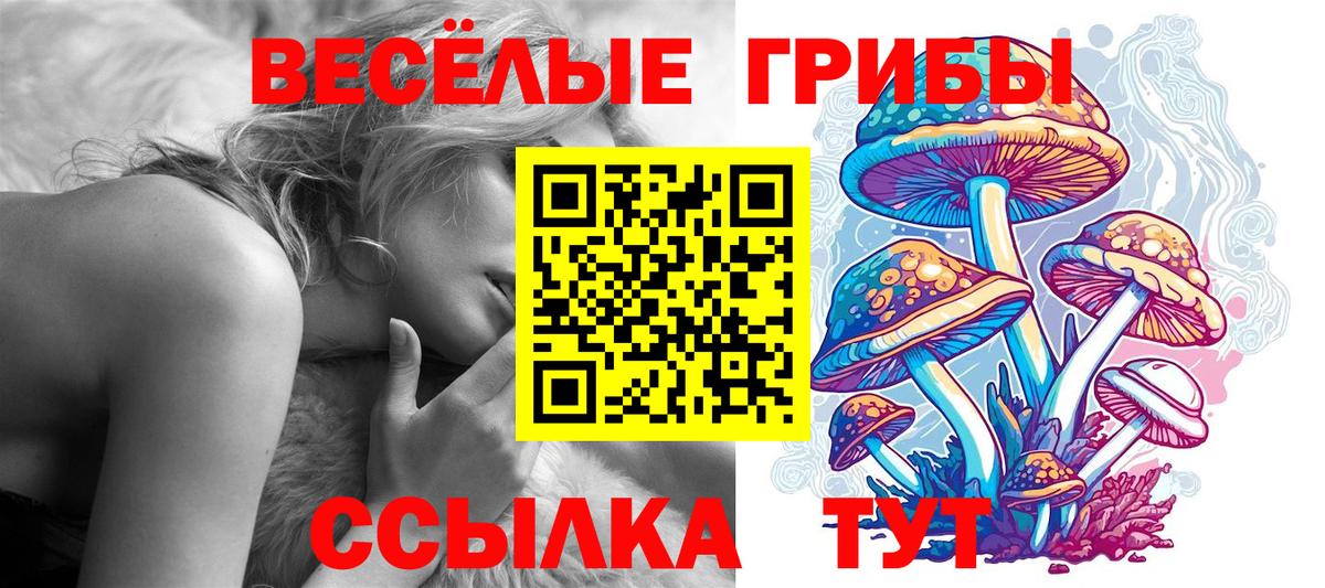 Галлюциногенные грибы Magic Shrooms Ульяновск